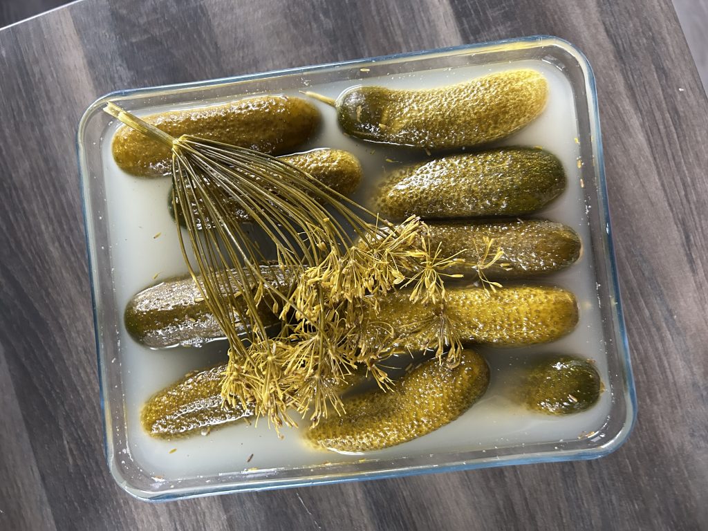Fermentált uborka